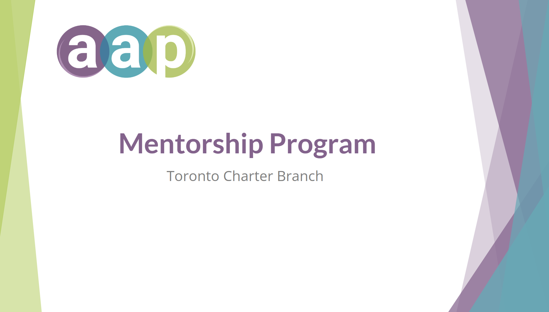 Mentorship Program Development - case study visual